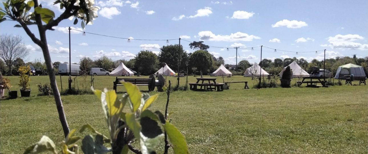 come camping on the beautiful Somerset levels