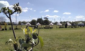 come camping on the beautiful Somerset levels